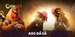 AOG đá gà