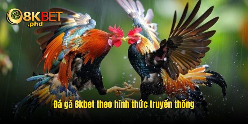 Đá gà truyền thống thu hút người tham gia bởi tính chất ôn hòa