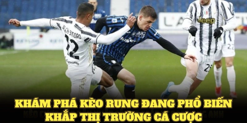 Khám phá kèo rung đang phổ biến khắp thị trường cá cược